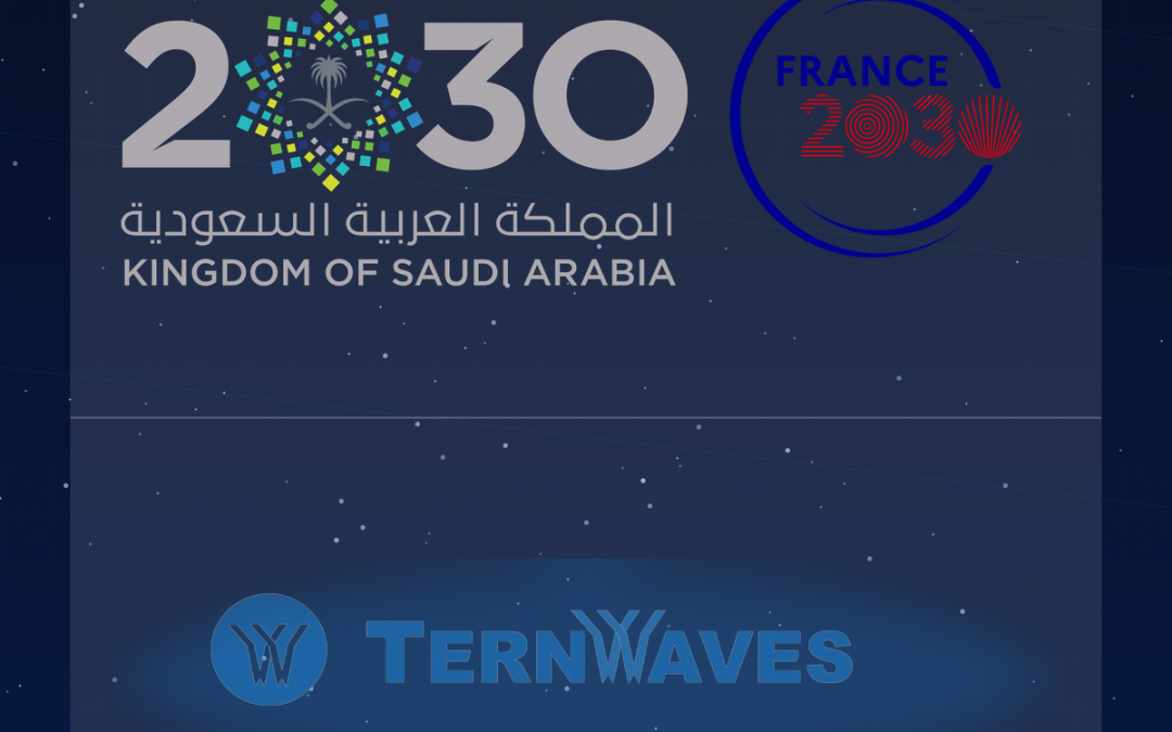 اختيار شركة تيرن ويفز ضمن مجموعة "بيزنس فرانس" المعززة للنمو العالمي 2024