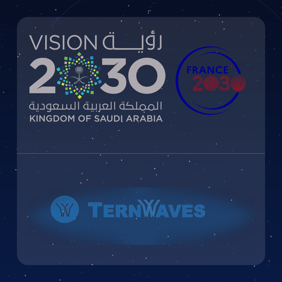 Ternwaves alongside Saudi Vision 2030 and France 2030 logos for BoosterGrowGlobal 2024 announcement